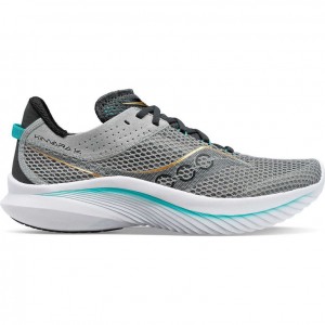 Saucony Kinvara 14 Muške Tenisice Sive | HRVATSKA VSMGCJ