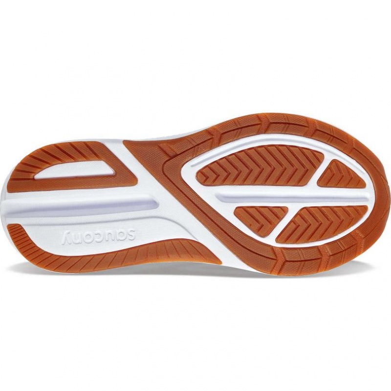 Saucony Echelon 9 Muške Tenisice Bijele | HRVATSKA LSAZJC