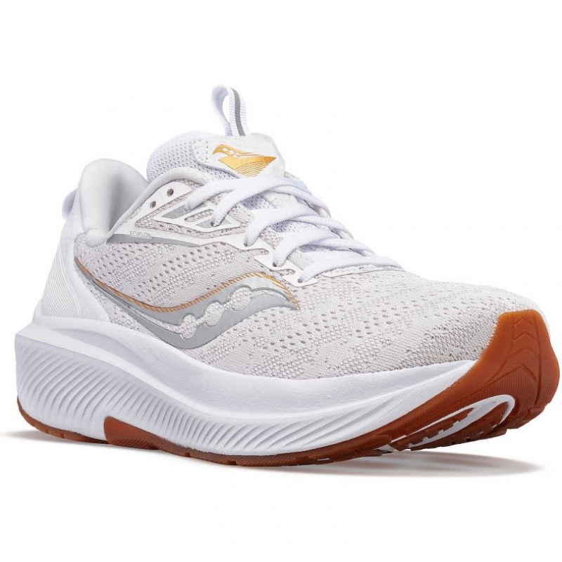 Saucony Echelon 9 Muške Tenisice Bijele | HRVATSKA LSAZJC