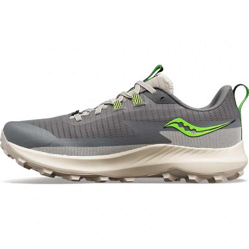 Saucony Peregrine 13 Muške Trail Tenisice Sive | HRVATSKA BPDKTO