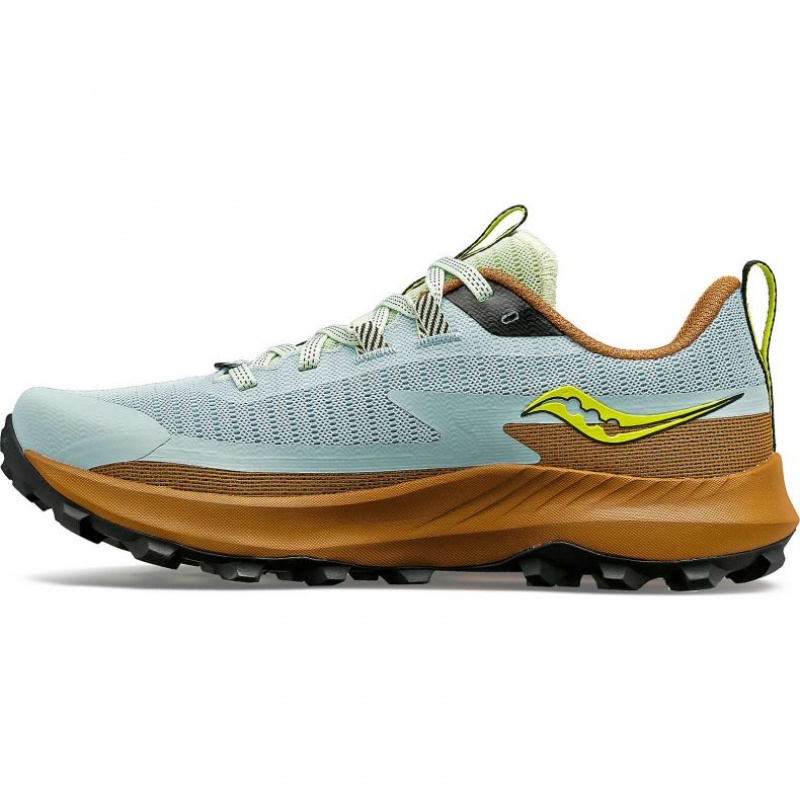 Saucony Peregrine 13 Ženske Trail Tenisice Svijetlo Plave Smeđe | HRVATSKA TWUCXY