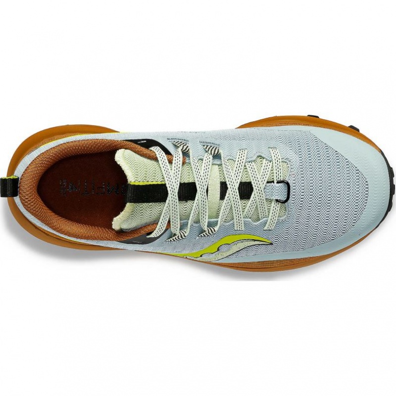 Saucony Peregrine 13 Ženske Trail Tenisice Svijetlo Plave Smeđe | HRVATSKA TWUCXY