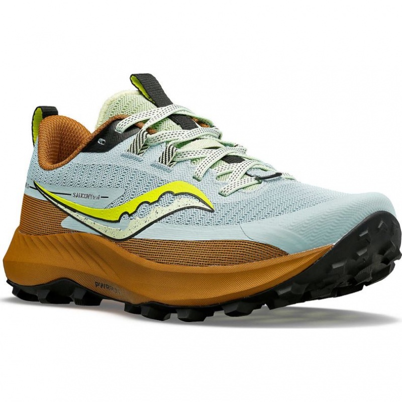 Saucony Peregrine 13 Ženske Trail Tenisice Svijetlo Plave Smeđe | HRVATSKA TWUCXY